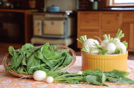 Growing Arugula and Turnips for the Table Image